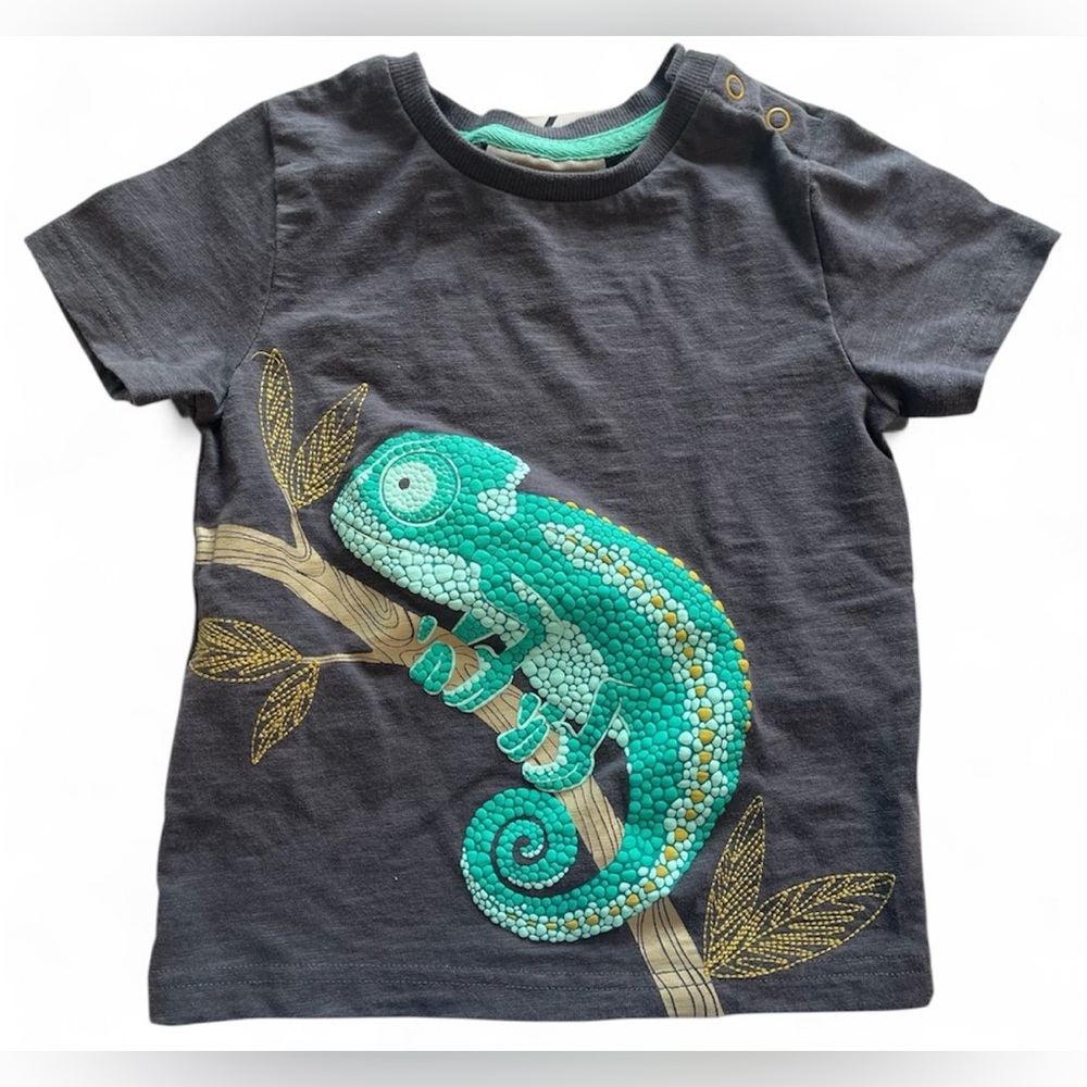 Jarvis Archer Grey T-Shirt Side Button Chameleon Aqua Grey 3T Boy T Shirt (VG)